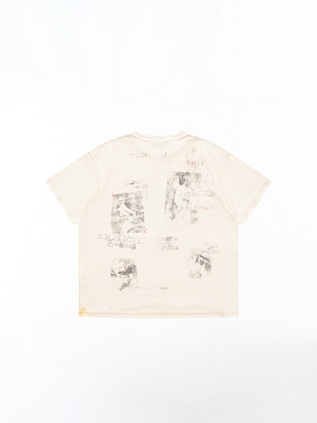 Sacred Insanity Boxy T-Shirt