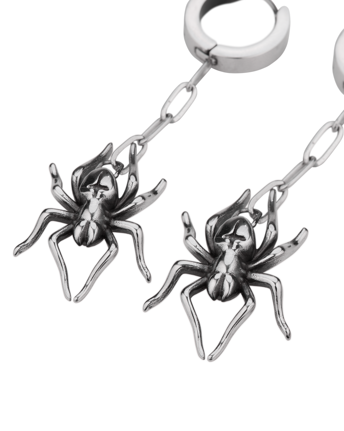 Species Earrings