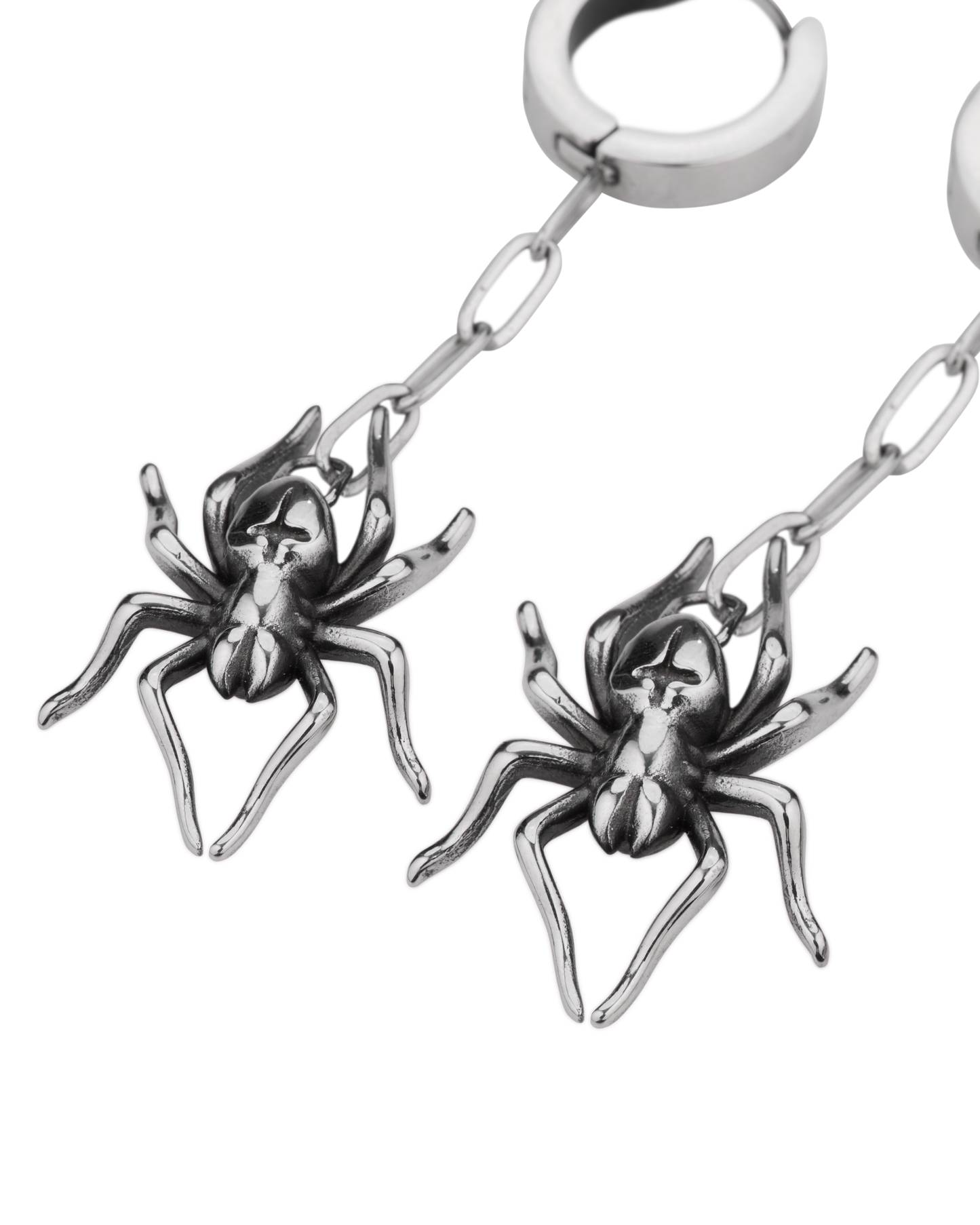 Species Earrings